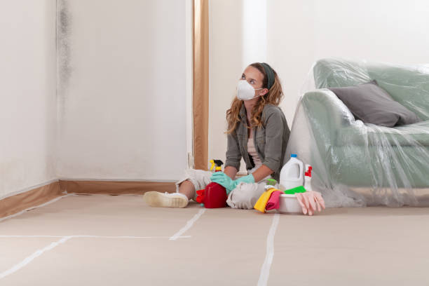 Reliable Mold Removal contractor in Algonquin, IL by Mold Remediation HQ
